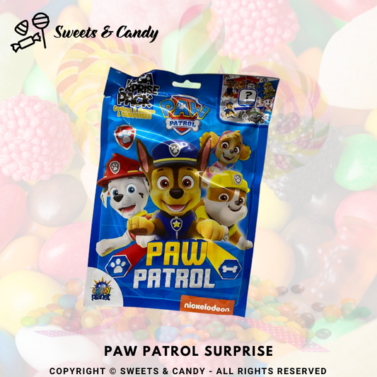 Paw Patrol Surprise
