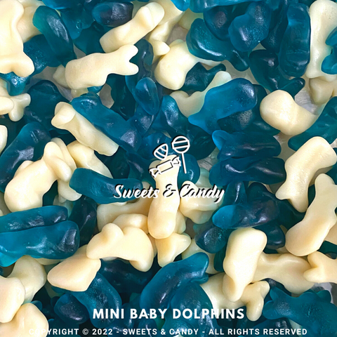 Mini Baby Dolphins