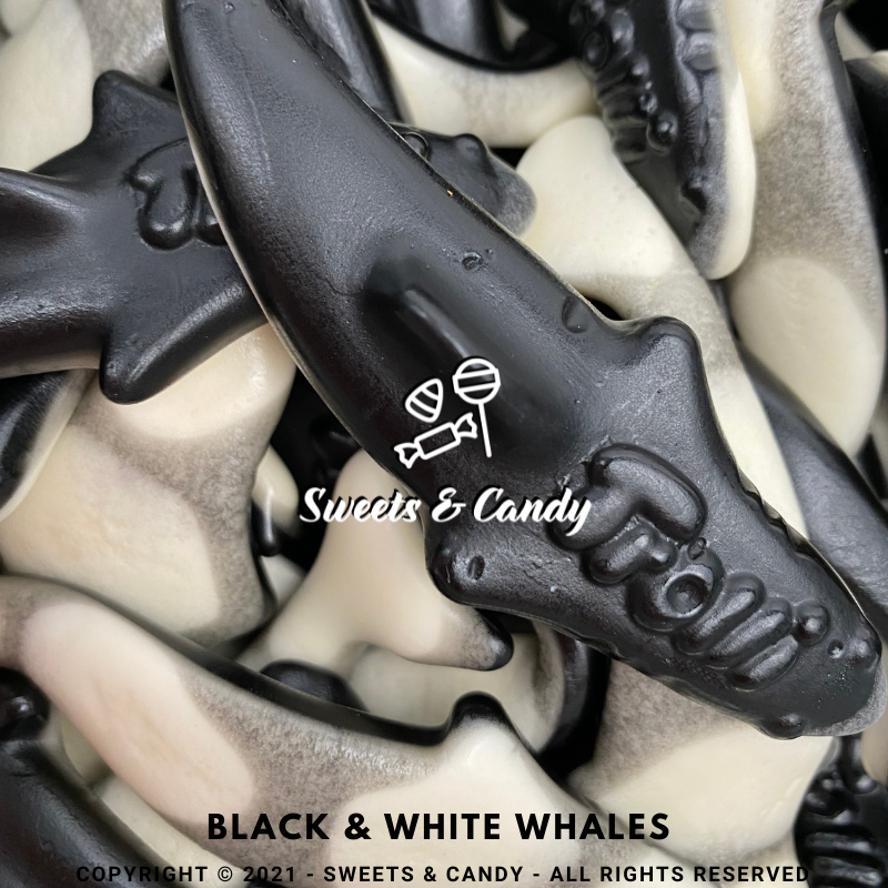 Black & White Whales
