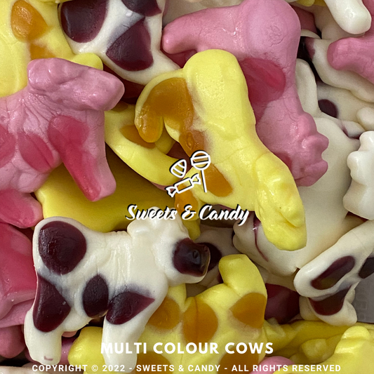 Multi Colour Cows